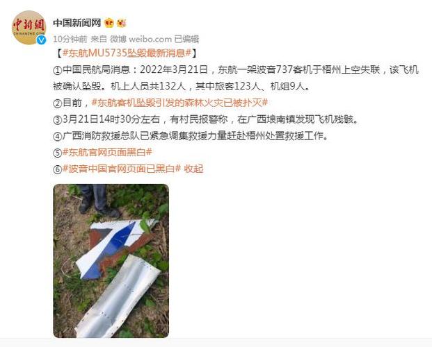 此次东航MU5735客机坠毁，造成了多少损失警方回应小飞机坠落事件警方回应小飞机坠落 洗脸