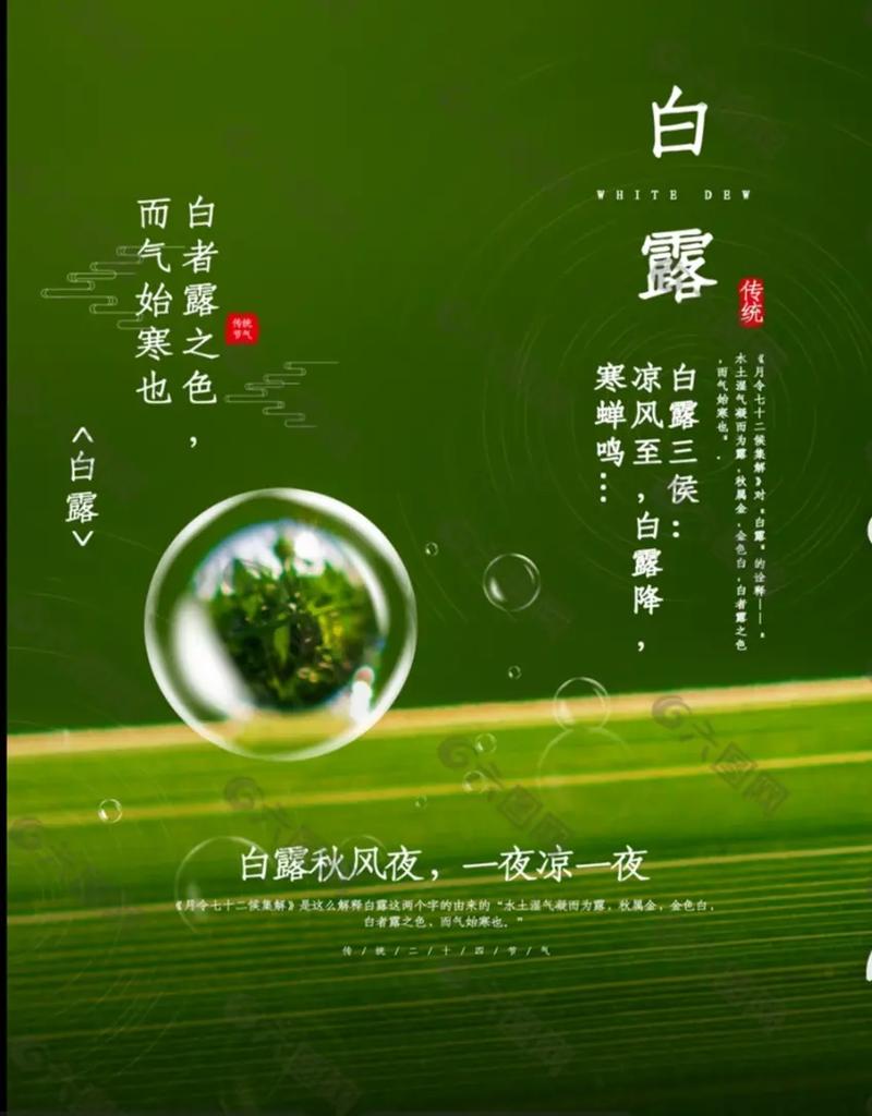 八月中秋白露表达的什么意思白露是最有诗意的节气白露节气自然科学实验 指甲