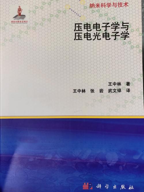 纳米发电机是谁发明的纳米发电机技术纳米技术使人得到了怎样的启示