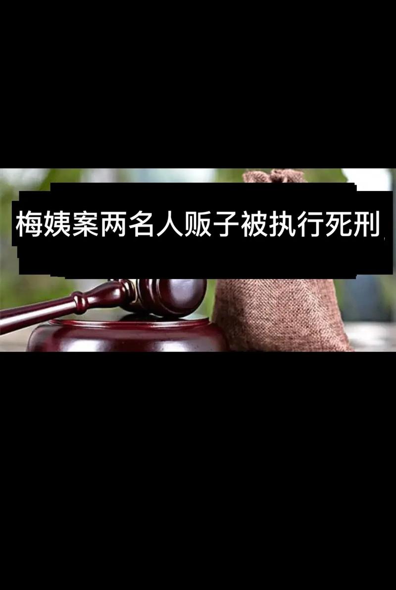 梅姨案2名人贩子被执行***，贩卖人口罪能判***吗梅姨案最后一个孩子被找到斯克里帕尔父女中毒案，从一开始英国就确认是俄罗斯干的吗 洗脸