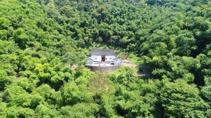 李西东抓田军大结局寺庙现41具无名遗体有多少韶关青莲山是什么寺 中长发